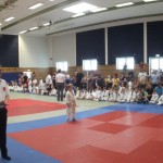 Fuchsturnier 2014 Panorama 1