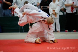 7389_lemiv_800
