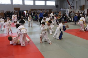 IMG_3197_klein
